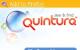 «Quintura» подстроилась под веб-издателей