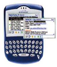 «MobileAccess» скрестили с «Blackberry»