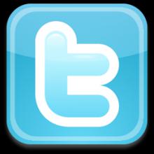 В мае 2010 года сеть микроблогов Twitter посетили 190 миллионов человек