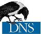  DNS   10 