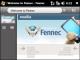  Firefox  Safari
