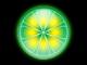   LimeWire      