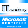 «IT-Academy 2007»
